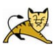 tomcat Icon